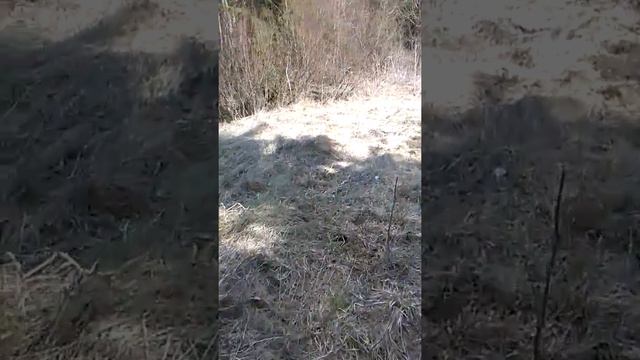 Довоенное строительство железной дороги 2часть