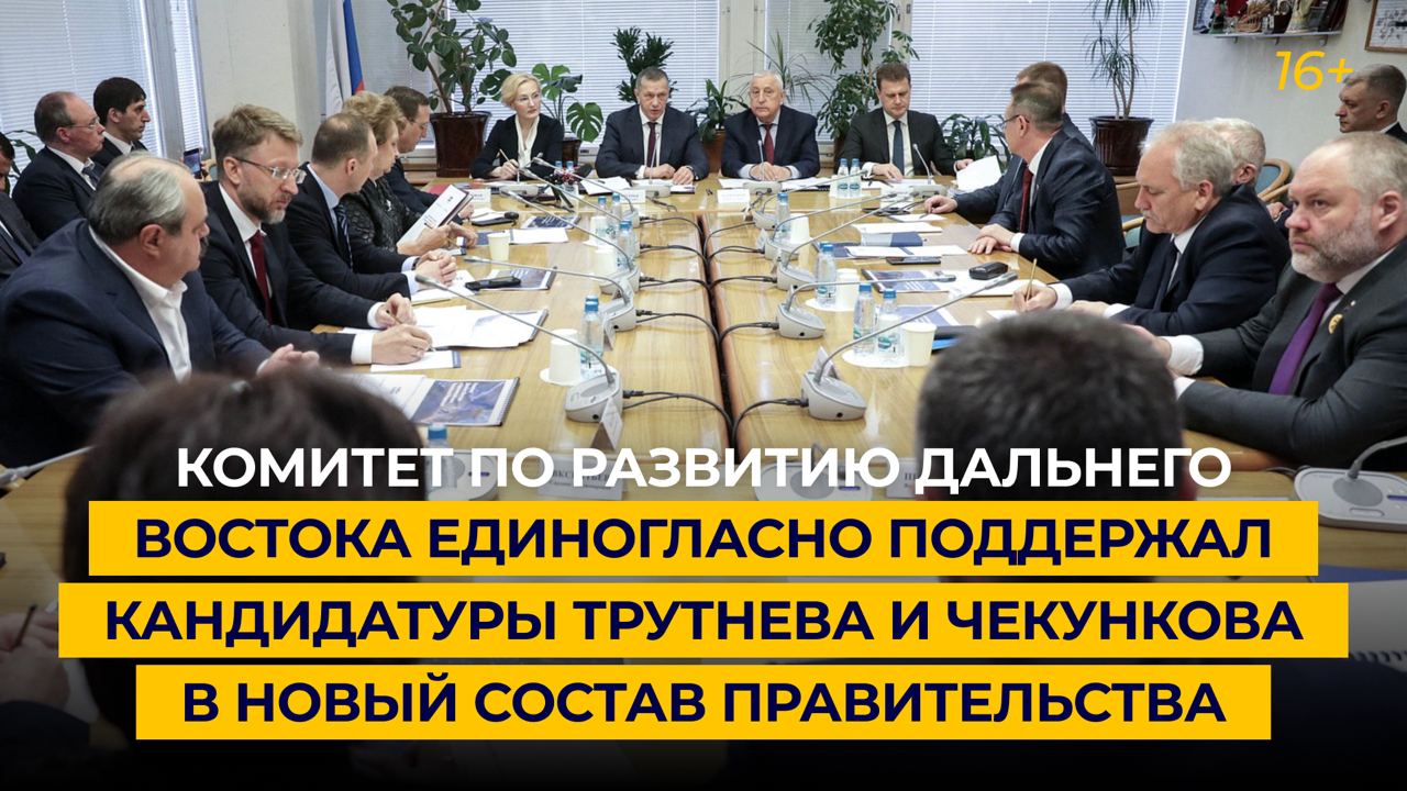 Комитет по развитию Дальнего Востока единогласно поддержал кандидатуры Трутнева и Чекункова