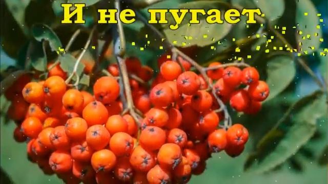 С Добрым Утром!?Осень!? Пусть принесет лишь только радость Осенний этот день  Классная Песня!