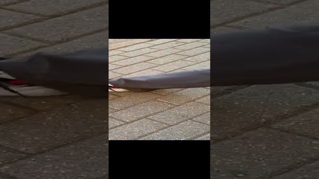 Папа может