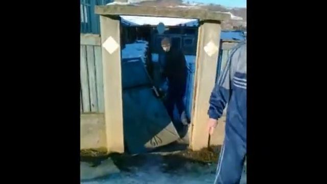 сани санки саночки