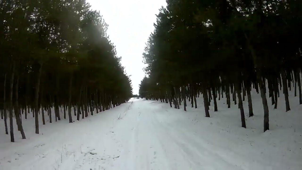 fpv полеты в лесу мкрн.Пневматика