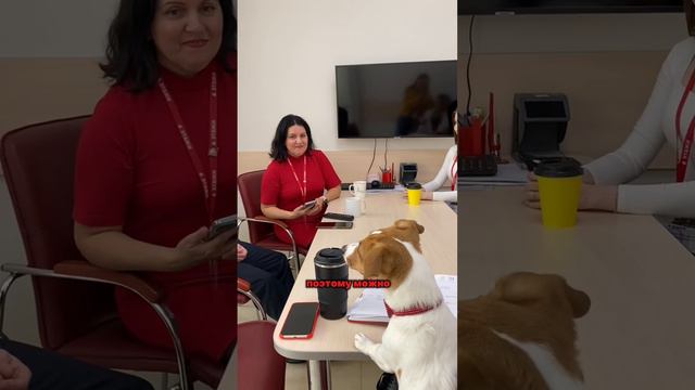 Работа для тех, кто хочет большего ❤️
