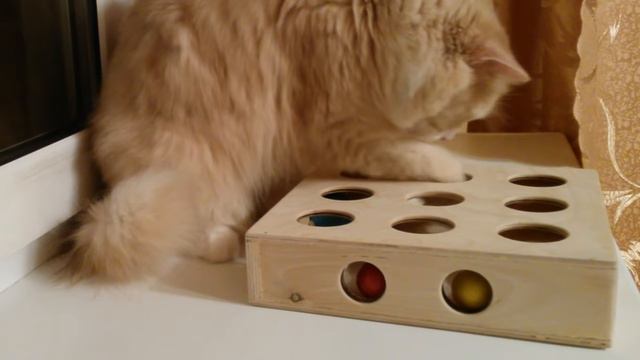 Игрушка для кошек - коробка с шариками. Cats Peek-and-Play toy box.