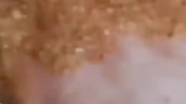 ПРИГОТОВЛЕНИЕ ПАСХАЛЬНЫХ КНЕЙДЕЛАХ.????