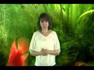 ХООПОНОПОНО: Результаты по Здоровью