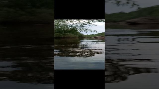 подводная сьемка