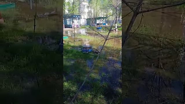 Двор детского сада в Энгельсе затопило канализационными водами