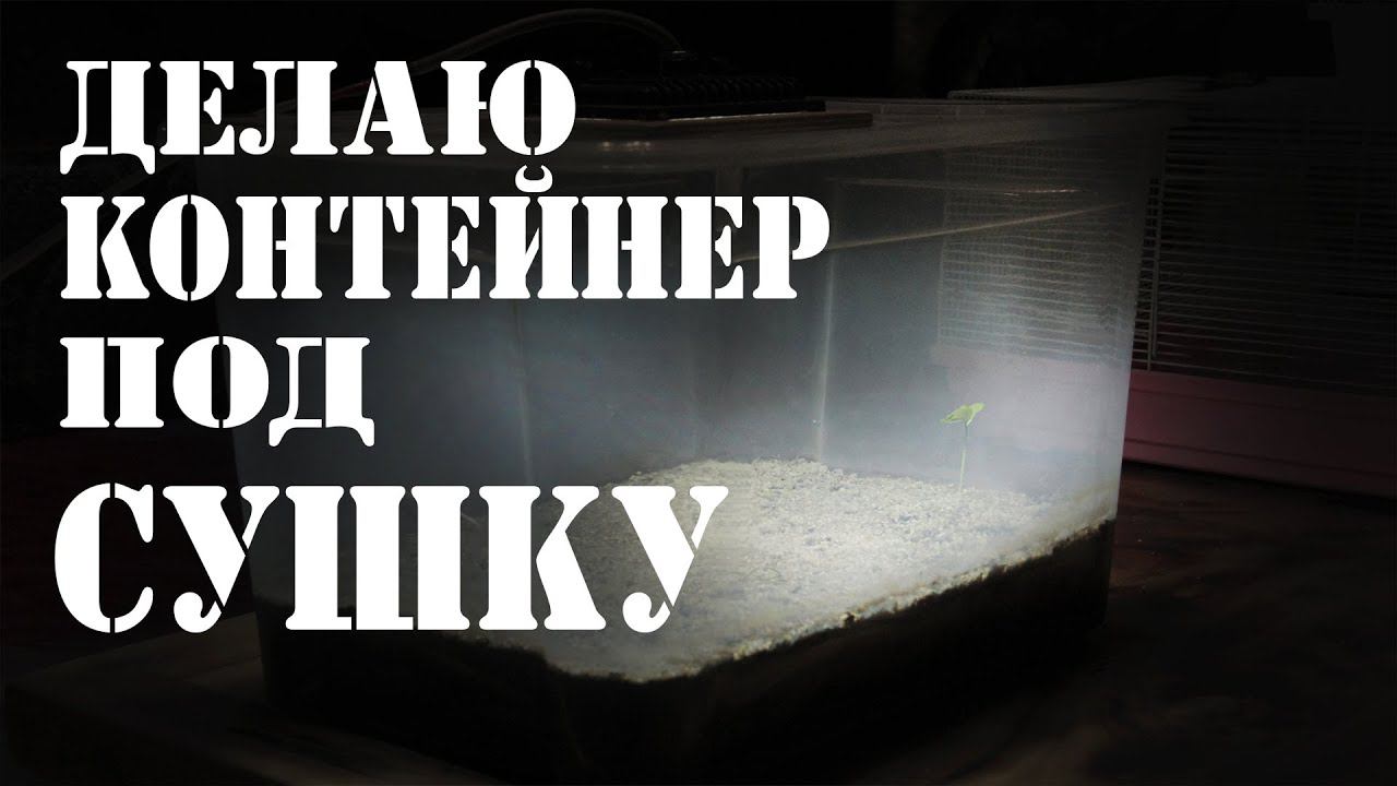 ВЫРАЩИВАЕМ растения/КОНТЕЙНЕР под СУШКУ #аквариум #растения #запускаквариума