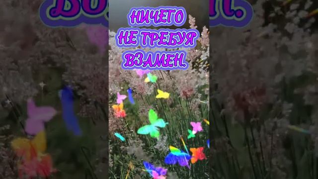 ВСЕ ДЛЯ ТЕБЯ..
