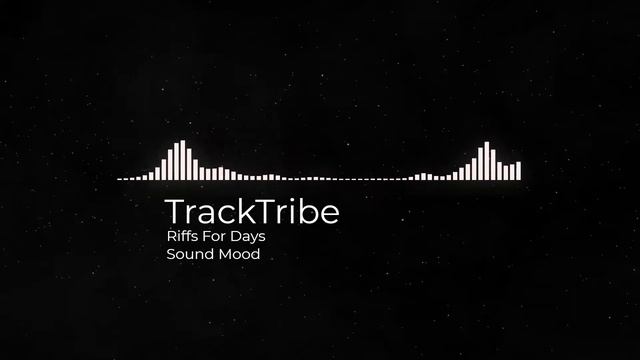 Riffs for Days  Track Tribe  Punk  (No Copyright Music YouTube Free Audio Library)