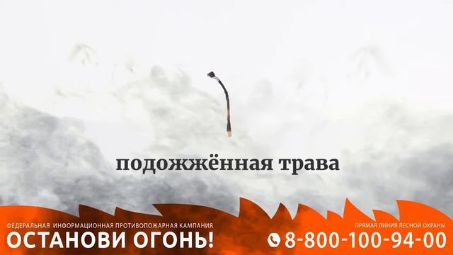 Видеоролик федеральной информационной противопожарной кампании «Останови огонь!».mp4