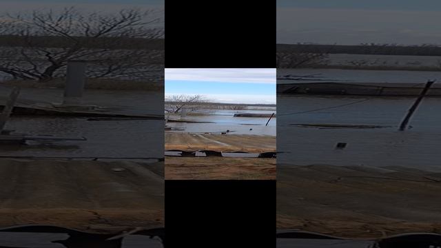 Прапорщика конюшня