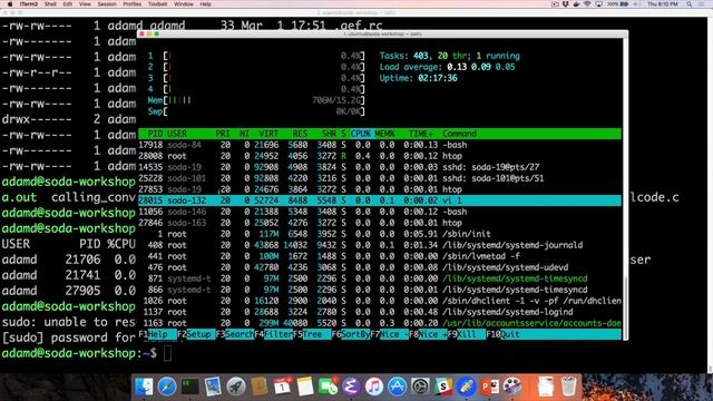 "The Secret Lives of Binaries":  Buffer Overflow Workshop with SoDA