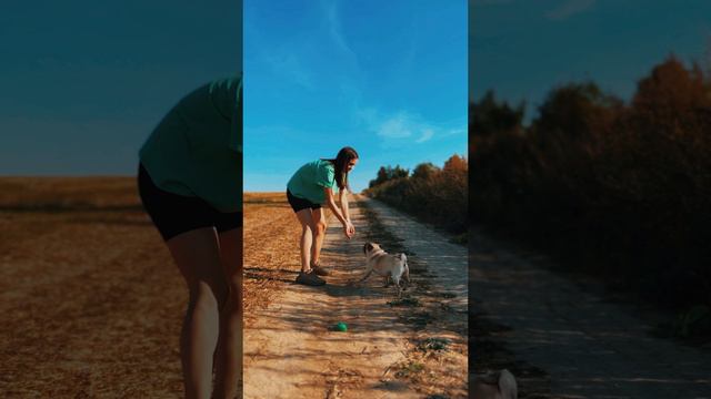 УЧИМ КОМАНДЫ С МОПСИКОМ ЛУЛУ 🥰🐕