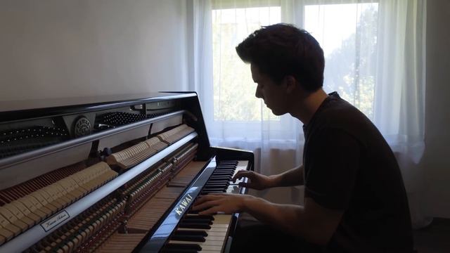 Shawn Mendes - In My Blood Piano Cover by Peter Buka