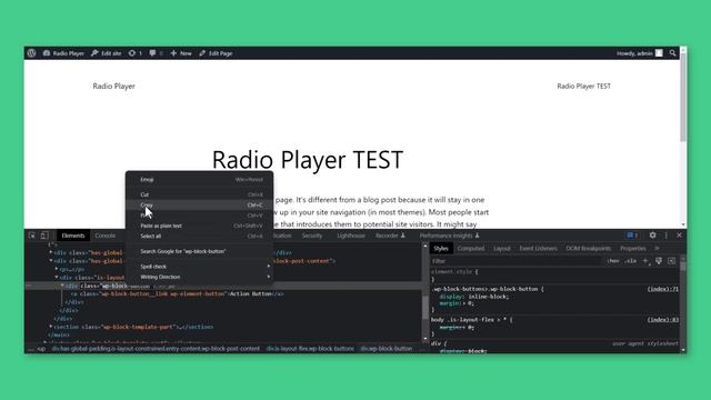 How To Open The Popup Radio Player Using Custom Buttons/ Elements