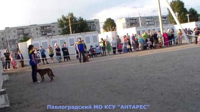 МО ВГО КСУ 