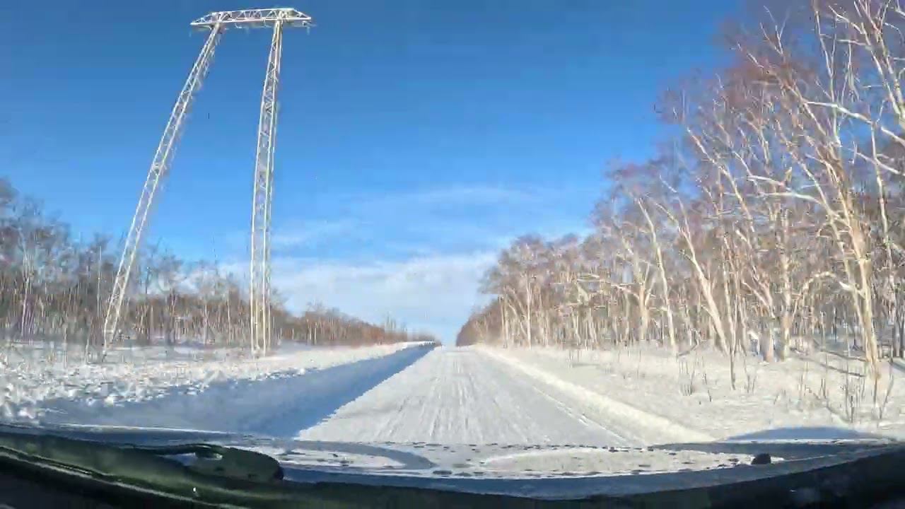 Timelapse по Камчатски, медведь в декабре.