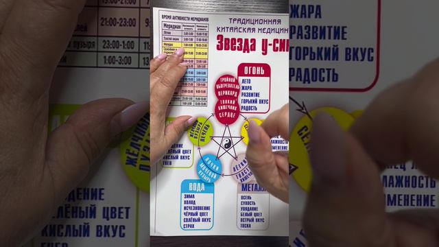 Когда активен наш желудок? #психологсемененко #народнаямедицина #китай