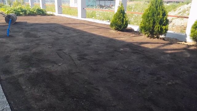 Посадка газона