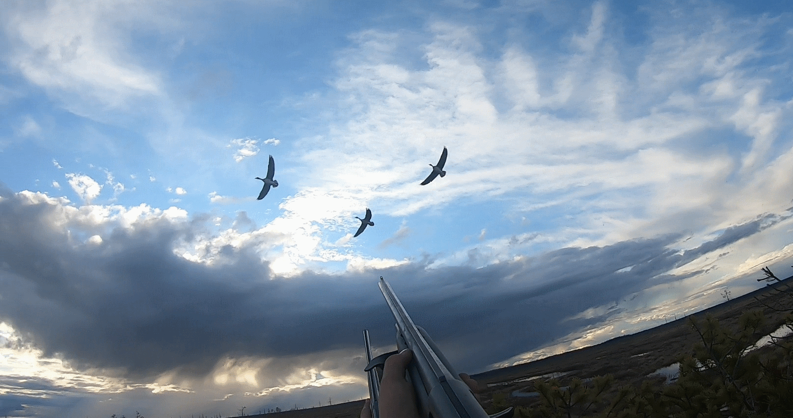 Охота на гуся. ШИКАРНЫЕ НАЛЕТЫ. ВЕСНА. 10 дней в болоте.goose hunting.