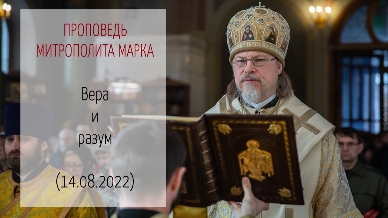 Проповедь митрополита МАРКА. Вера и разум (14.08.2022 г.)