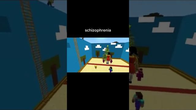 minecraft schizofrenia