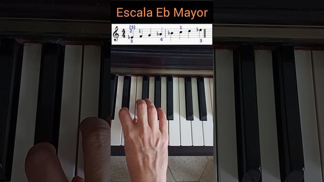 Escala Eb Mayor 😉-DIGITACION PIANO-🎹👌 #piano #teoriamusical