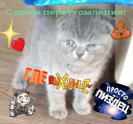 Поменял название