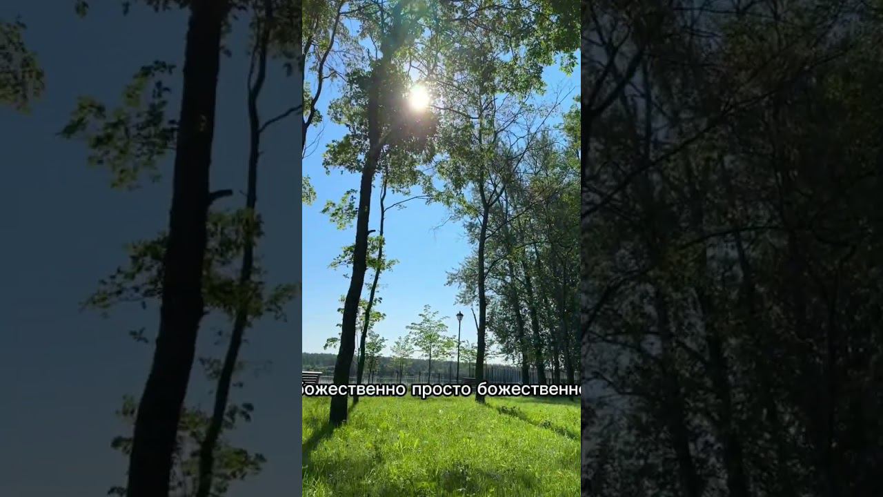 Счастье есть. #кундалинийога  на природе - сила #люблюсвоедело #познаниеистины #познаниесебя