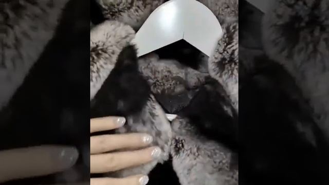 Шуба их меха кролика Рекса под шиншиллу с капюшоном 70см