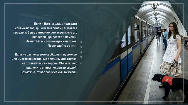 Памятка для людей, которые встретили человека с собакой-проводником
