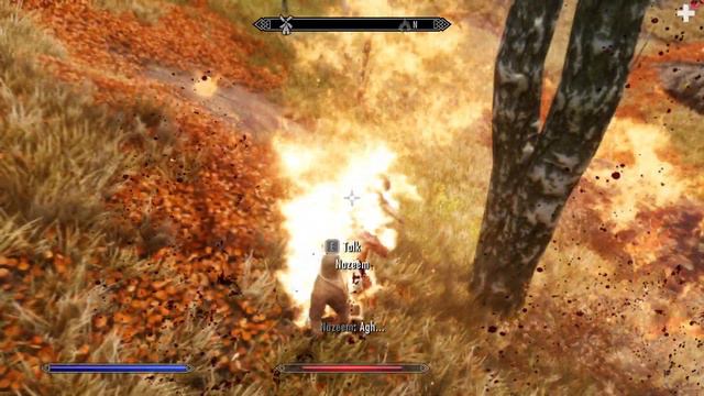 Day 455 - Killing Nazeem Every Day Until Elder Scrolls 6 is Released