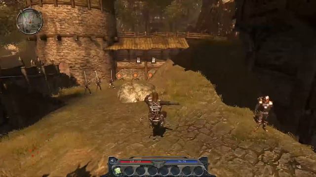Прохождение игры Divinity II Developers Cut  ᐉ Новое Светлое Начало ᐊ