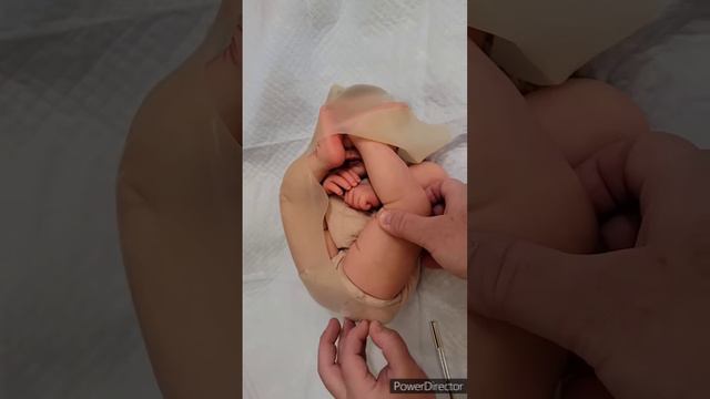 Womb Baby - How Babies Are Born