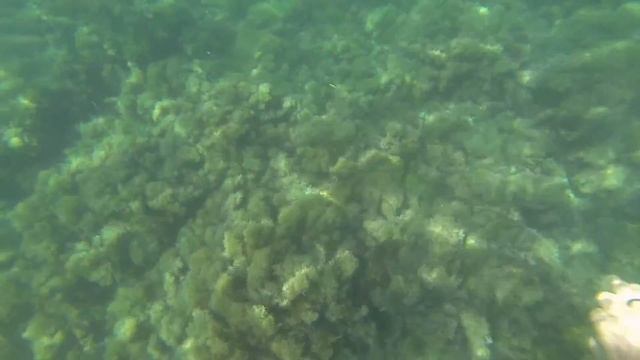 Релаксация под водой Чёрного моря.