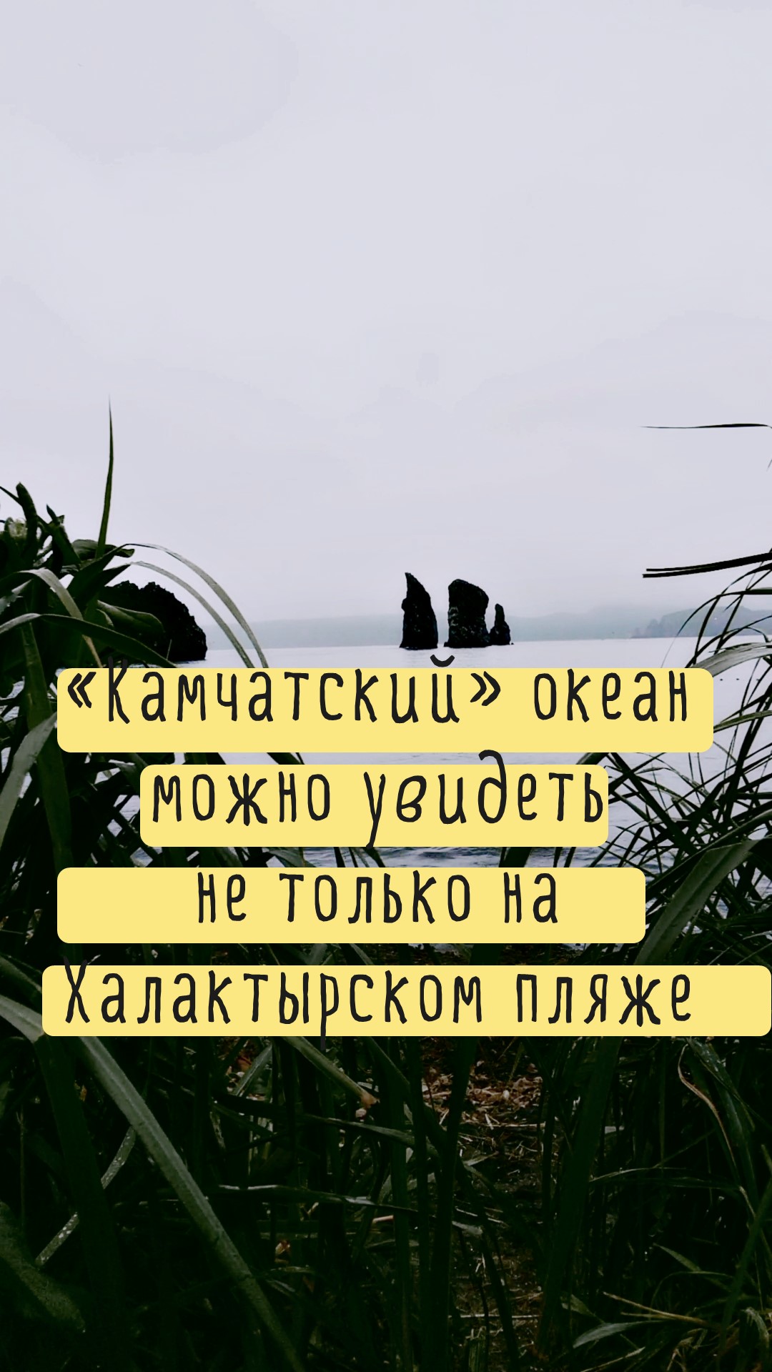 Лучшее место, чтобы увидеть Тихий океан? Конечно солнечная Камчатка 😁 #тихийокеан #океаныгор 🌊🌋