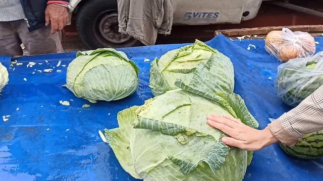 Цена МЕДА  в Турции 7,5 $ на 01.11.21. Пчеловодство