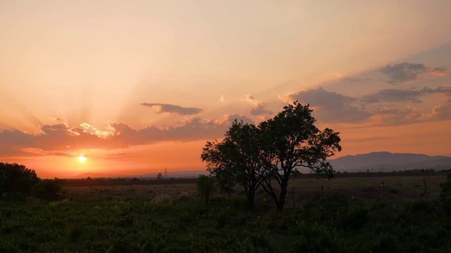 НЕТ  КНИГИ  ДОРОЖЕ  ЭТОЙ. ЕВАНГЕЛИЕ.  2  ГЛАВА  НА  РУССКОМ  ЯЗЫКЕ.