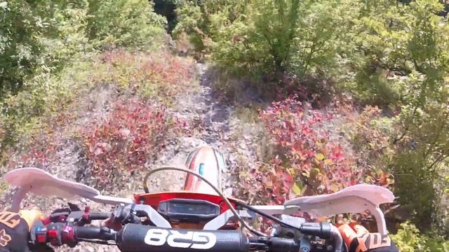 Заброшенная эндуро трасса SHTORM! #LiveEnduro