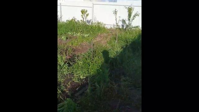 Результат монтажа системы полива в частном доме