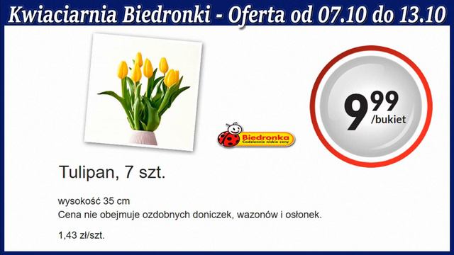 Biedronka Nowa Oferta Od Czwartku 07 Października 2021 | Kwiatowe Inspiracje Biedronki