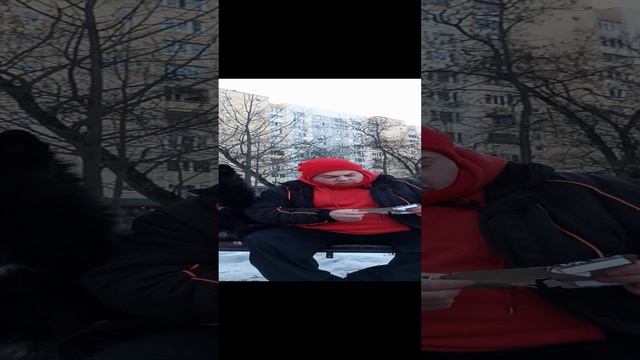 Собачий фейерверк!