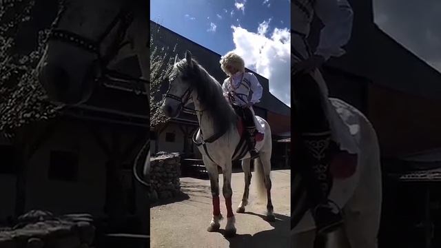 Орловский рысак Идальго❤🐴 AzzArt
