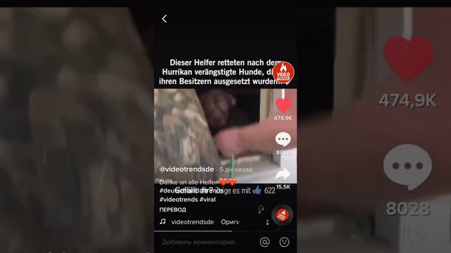 Мне жалко животных а вам тоже жалко их если вам тож их жалко да или нет