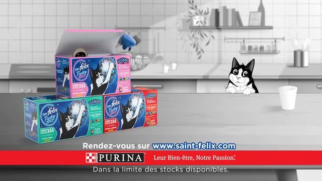 Purina FELIX -  Saint FELIX Party 2022  saintfelixparty2022 saintfelix felix