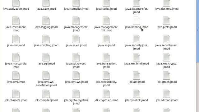 Azul Zulu OpenJDK 10 Zip Installation in Redhat Enterprise Linux 6.9 | JavaSE 10 Released