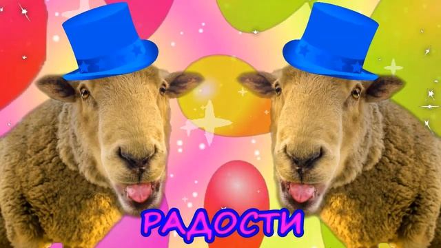 С ДНЕМ РОЖДЕНИЯ! Прикольное поздравление.  Смешное поздравление С ДНЕМ РОЖДЕНИЯ! Happy birthday!