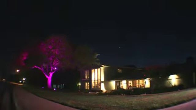 Ландшафтная LED подсветка деревьев